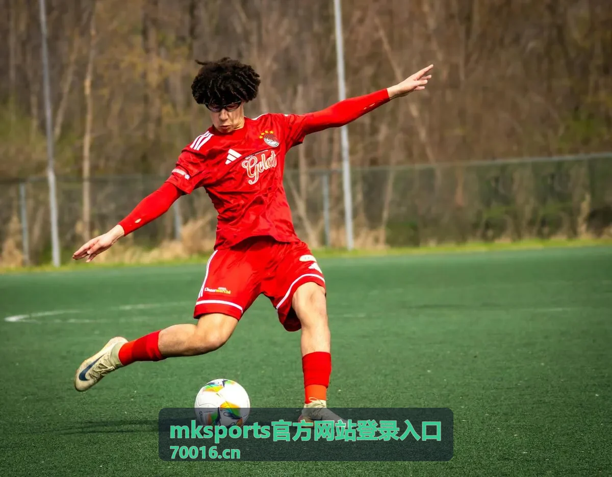 mksports官方网站登录入口的入口核对常见问题说明