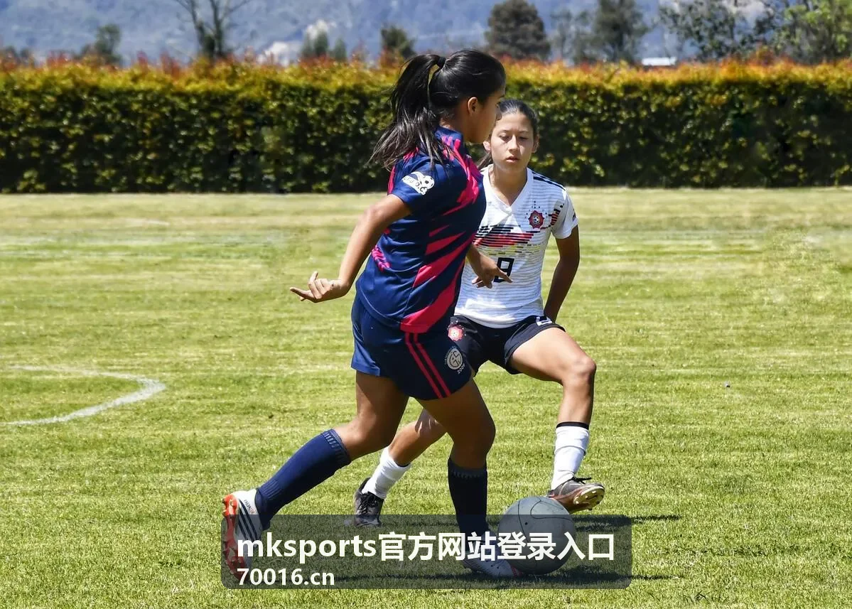 mksports官方网站登录入口页面标识确认示意画面