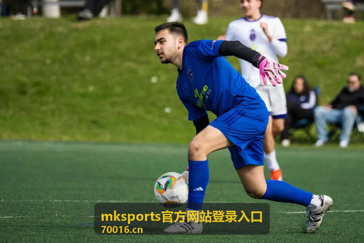 mksports官方网站登录入口访问异常排查示意画面