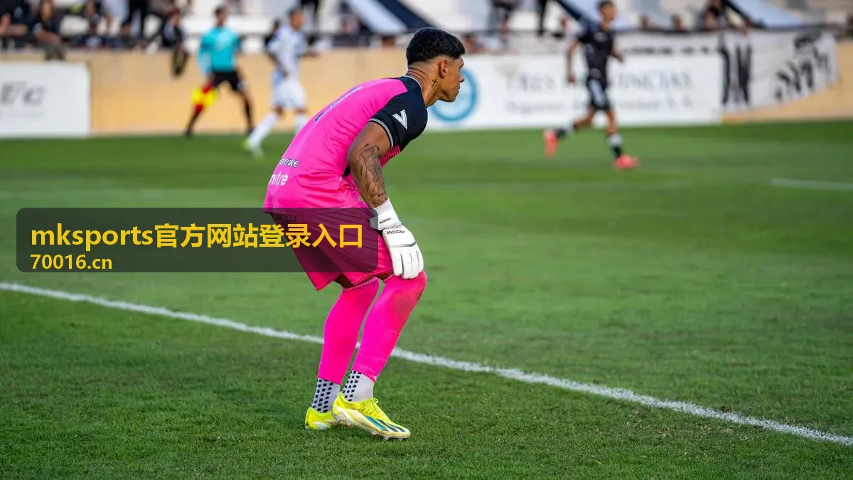 mksports官方网站登录入口页面标识核对说明配图