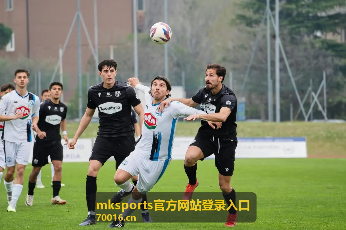 mksports官方网站登录入口账号信息填写说明配图