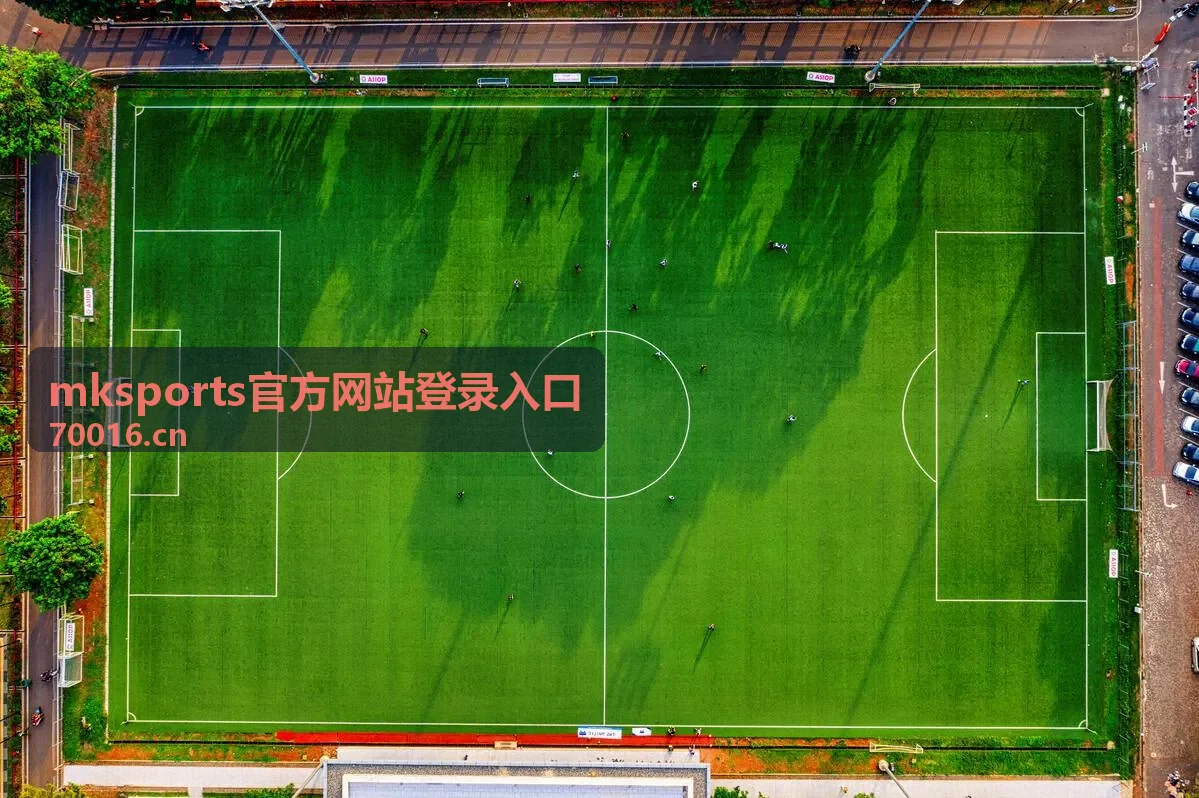 mksports官方网站登录入口忘记密码找回的说明