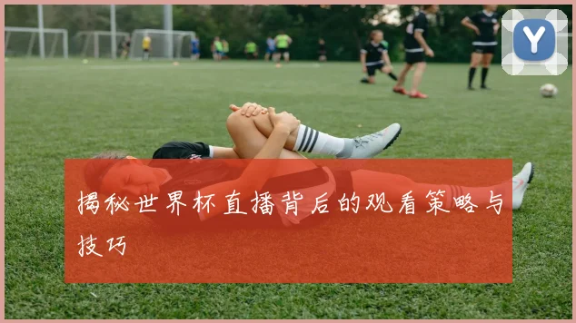 揭秘世界杯直播背后的观看策略与技巧