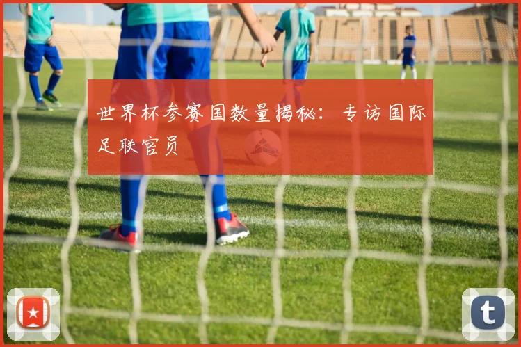 世界杯参赛国数量揭秘：专访国际足联官员