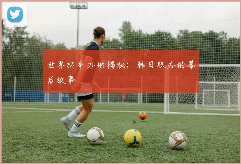 世界杯举办地揭秘：韩日联办的幕后故事