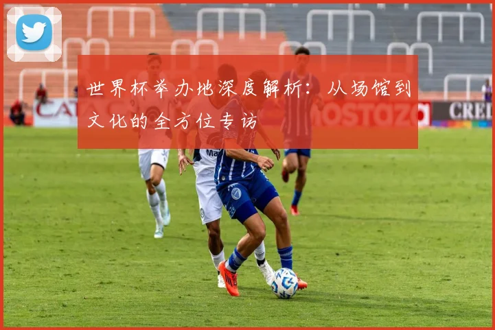 世界杯举办地深度解析：从场馆到文化的全方位专访