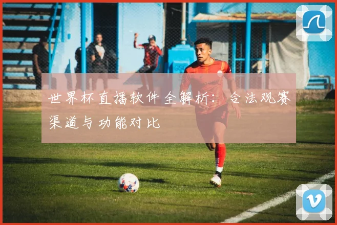世界杯直播软件全解析：合法观赛渠道与功能对比