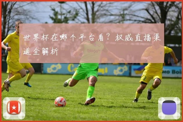 世界杯在哪个平台看？权威直播渠道全解析