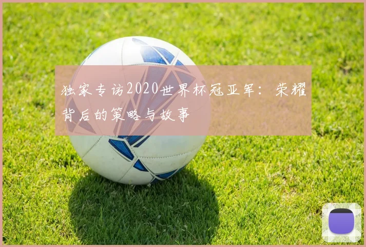 独家专访2020世界杯冠亚军：荣耀背后的策略与故事