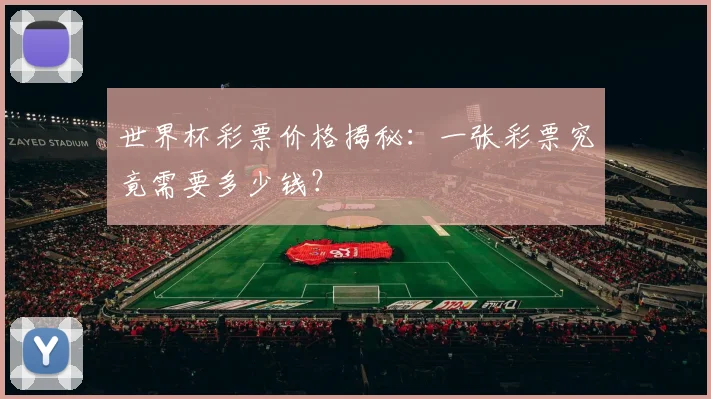 世界杯彩票价格揭秘：一张彩票究竟需要多少钱？